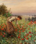 Girl Picking Poppies Daniel Ridgeway Knight